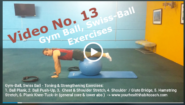 Gym Exercise Swiss Ball Sample Exercises Core Upper Body Strength in South Dublin with Martin Luschin Sandford Industrial Estate Leopardstown Central Park 